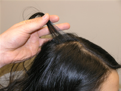 Hair Pull Test