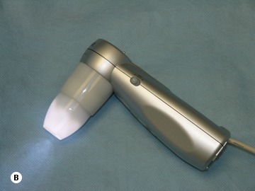 Figure 29.1B - Video Densitometer