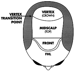 Classification of Hair Transplantation - Regions of the Scalp