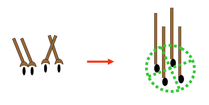 Hair Cloning Methods - Cell Implantation Using a Matrix