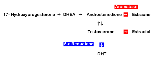 DHT Production from Aromatase and 5-a reductase