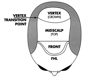 Follicular Unit Hair Transplantation - Regions of the scalp