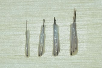 Follicular Unit Transplantation - One, two, three and four-hair follicular units