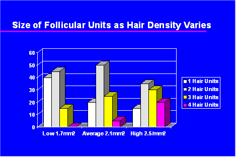 Follicular Unit Transplantation - Densitometry showing discrete natural groups as the hair emerges from the scalp