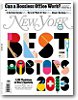 Best Doctors 2013 - New York Magazine