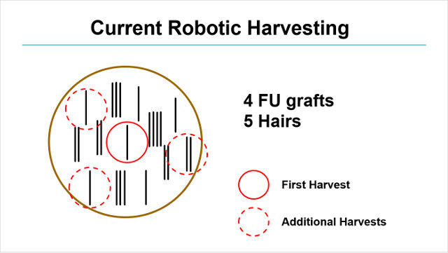 Figure 1. Random graft harvesting