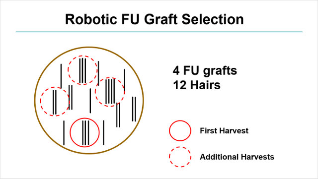 Figure 2. Selective graft harvesting