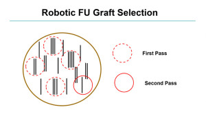Advanced Robotic Graft Selection